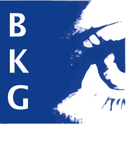 BKG Informationstechnologie GmbH (Optik-Office) Logo